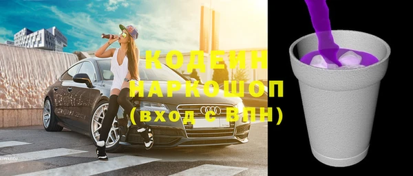 СК Елизово