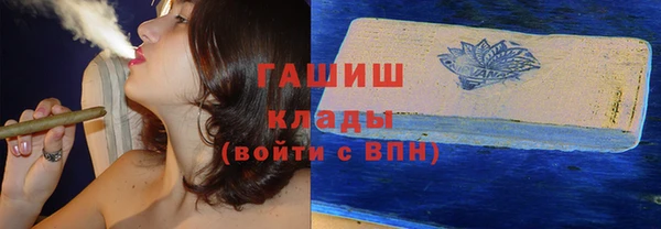 СК Елизово