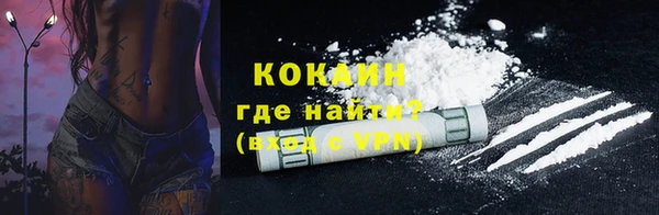 СК Елизово