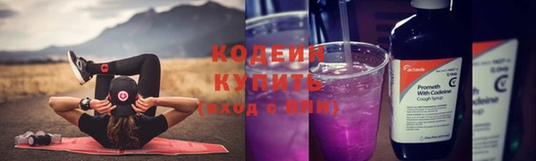 СК Елизово