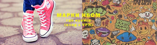 СК Елизово