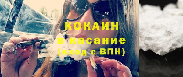 СК Елизово