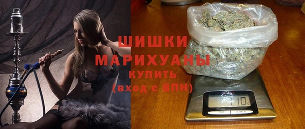 СК Елизово