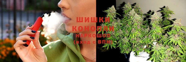 кокс Ельня