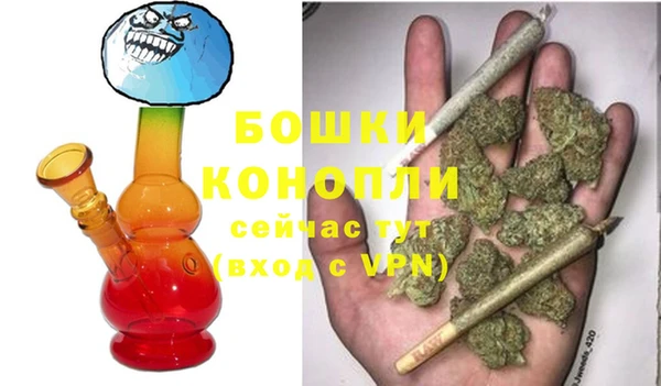 кокс Ельня
