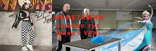 кокс Ельня