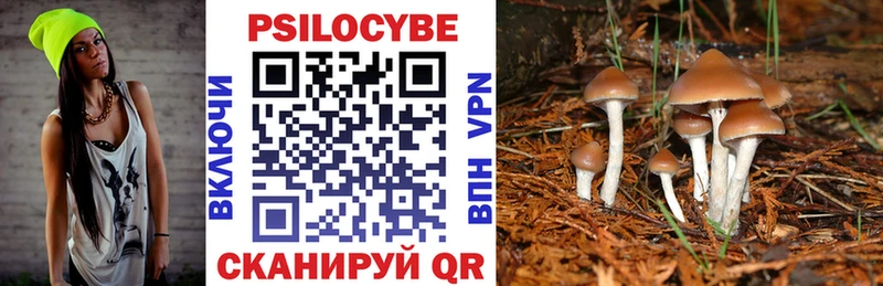 Псилоцибиновые грибы мицелий  Находка 
